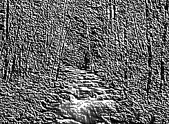 Skamielina