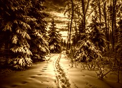 Sepia