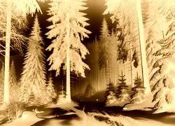 Sepia + Negatyw