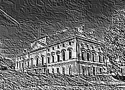 Skamielina