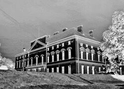 Szary + Negatyw