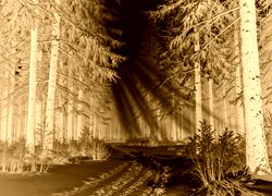 Sepia + Negatyw