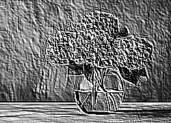 Skamielina