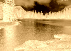Sepia + Negatyw