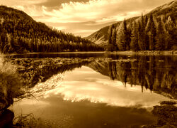 Sepia