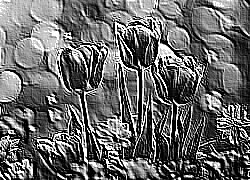 Skamielina