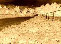Sepia + Negatyw