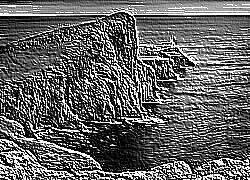 Skamielina