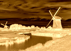 Sepia + Negatyw