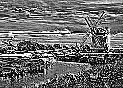 Skamielina