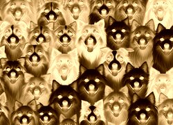 Sepia + Negatyw