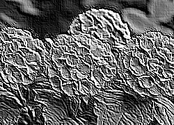 Skamielina
