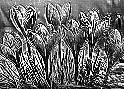 Skamielina