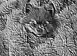 Skamielina