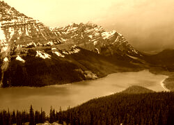Sepia