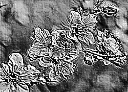Skamielina
