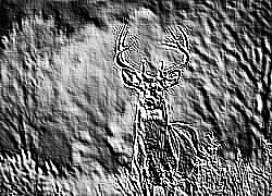 Skamielina