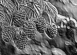 Skamielina