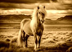 Sepia