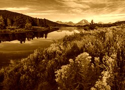 Sepia