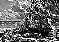Skamielina