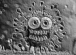 Skamielina