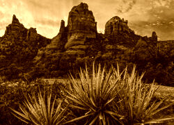 Sepia