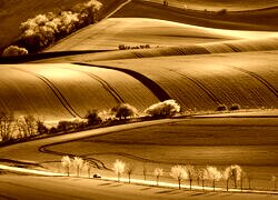 Sepia