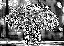 Skamielina