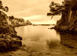 Sepia