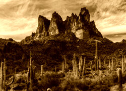 Sepia