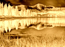 Sepia + Negatyw