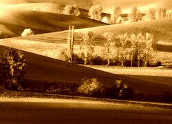 Sepia