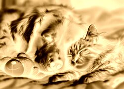 Sepia + Negatyw