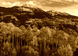 Sepia