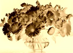 Sepia + Negatyw