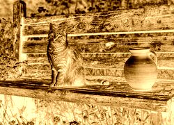Sepia + Negatyw