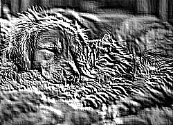 Skamielina