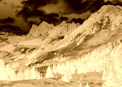 Sepia + Negatyw