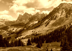 Sepia
