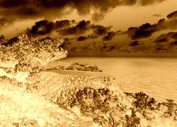 Sepia + Negatyw
