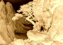 Sepia + Negatyw