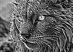 Skamielina