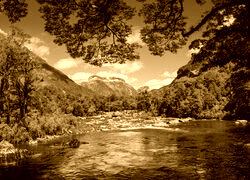 Sepia