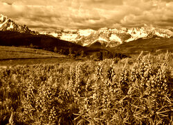 Sepia
