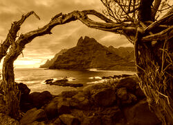 Sepia
