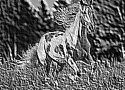 Skamielina