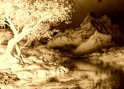 Sepia + Negatyw