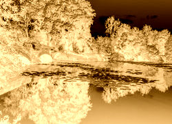 Sepia + Negatyw