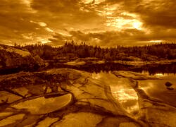 Sepia